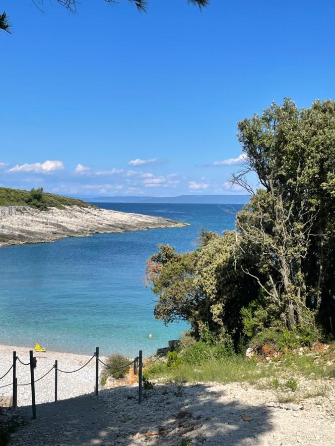Moderne Istrische Steinvilla - 4 Sterne Mit Privatem, Beheizbaren Pool & Meerblick Kavran Eksteriør bilde